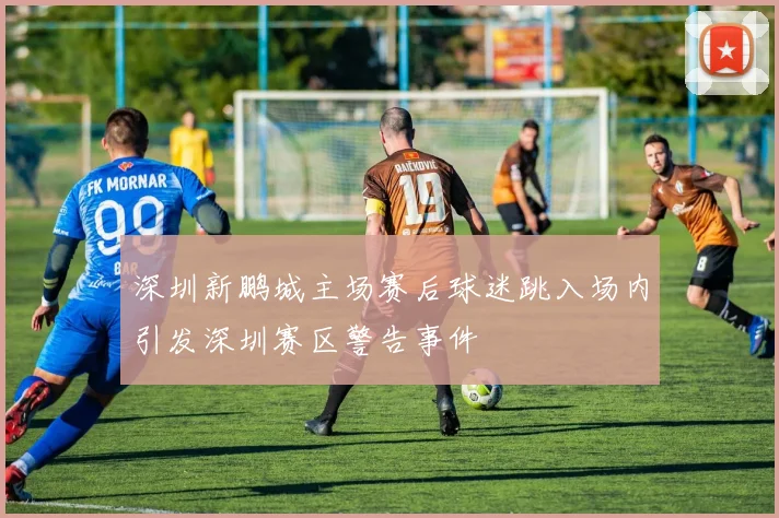 深圳新鹏城主场赛后球迷跳入场内引发深圳赛区警告事件