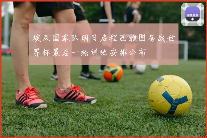 埃及国家队明日启程西雅图备战世界杯最后一轮训练安排公布