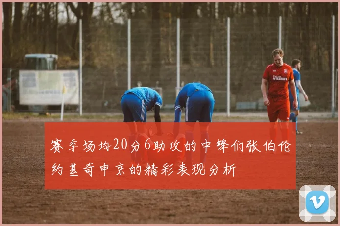 赛季场均20分6助攻的中锋们张伯伦约基奇申京的精彩表现分析